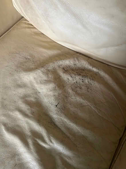 Photo of free Cream leather 2 seater sofa (Potter Heigham NR29) #2