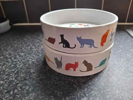 Photo of free Cat bowls (Murrow) #1
