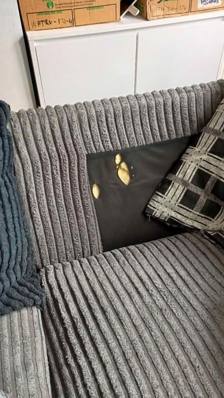 Photo of free Corner sofa (WF17) #4