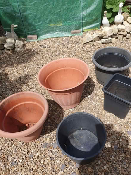 Photo of free Gardenimg (Stewkley) #1