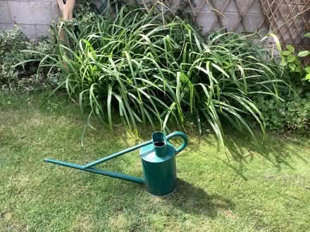 Photo of free Gorgeous grasses (Birchgrove CF14) #2