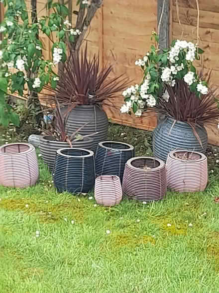 Photo of free Designer flower pot covers and pots (Cuffley EN6) #1