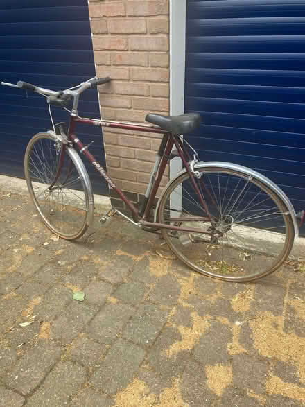 Photo of free mens bike (Newton Burgoland LE67) #1