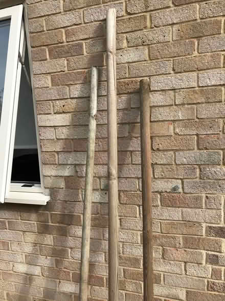 Photo of free Tree stakes (Kidlington OX5) #2