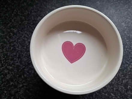 Photo of free Cat Bowls #3 (Murrow) #2