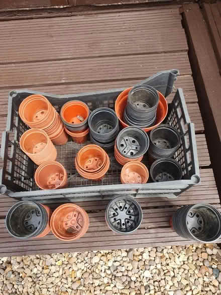Photo of free Gardening (Stewkley) #1