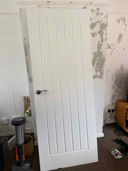 Photo of free Fire Door (Epsom KT18) #1