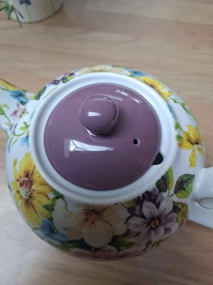 Photo of free Beautiful teapot (University of Bath BA2) #2