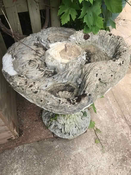 Photo of free Solid Concrete bird bath (Leigh-on-Sea SS9) #3
