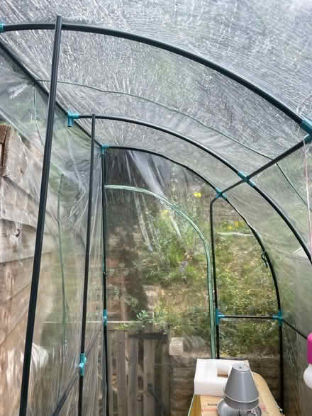 Photo of free Lean too greenhouse (Chesham HP5) #1