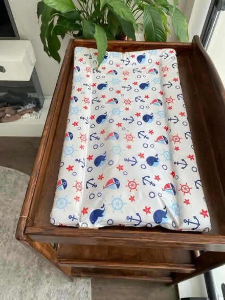 Photo of free Changing desk (Kingston KT1) #3