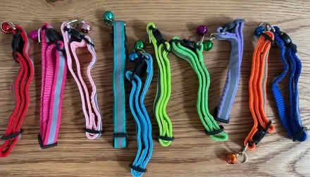 Photo of free 10x adult cat reflective collars (Sapperton) #1