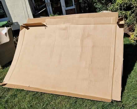 Photo of free Several large sheets of cardboard (Kilmington EX13) #1