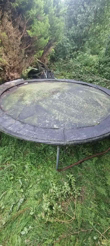 Photo of free 10ft trampoline (Bethesda LL57) #2