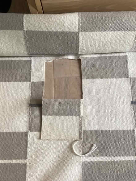 Photo of free Large rug (Stirling FK8) #3
