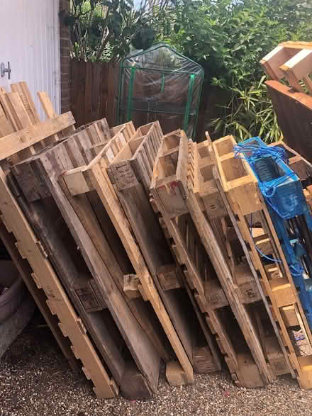 Photo of free Selection of wooden pallets (Danbury CM3) #1
