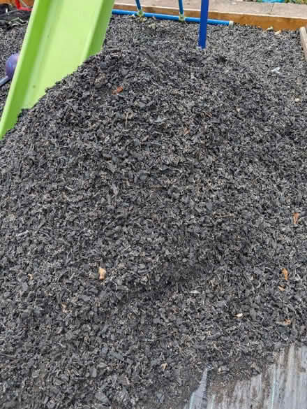 Photo of free Rubber Bark (De24 0ge) #1