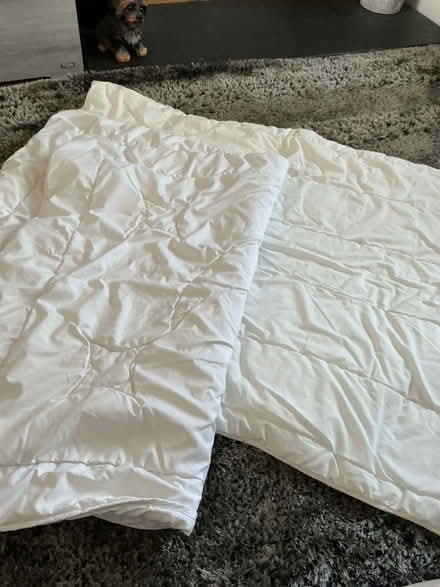 Photo of free Cot duvets (Panshanger AL7) #1