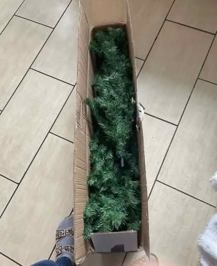 Photo of free 6 feet tall Christmas Tree (Whiteabbey BT37) #1