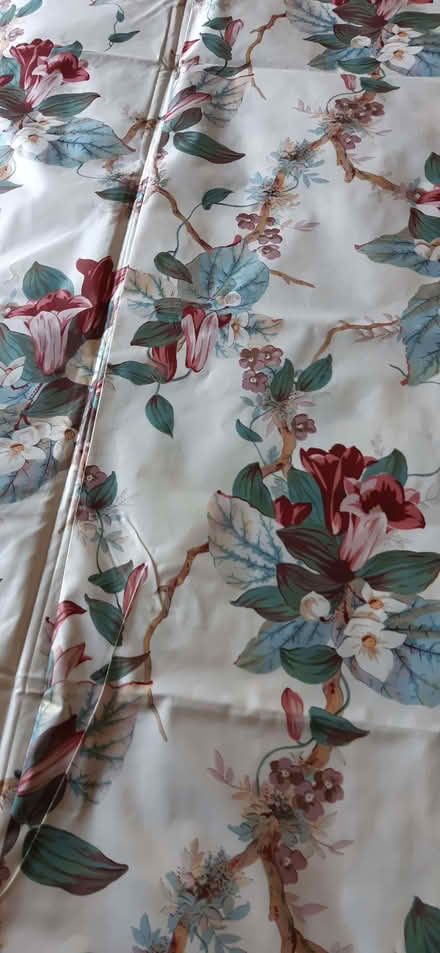 Photo of free Extra long curtains (West Wycombe HP14) #1