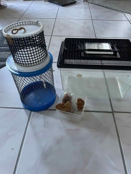 Photo of free Hermit crab cages or critter (Middletown NJ) #1