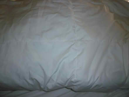 Photo of free Duvet for animal bedding (welling DA16) #1