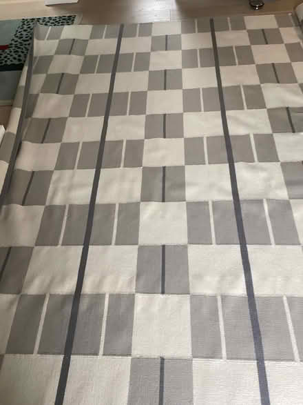 Photo of free Large rug (Stirling FK8) #1