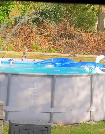 Photo of free 14" pool funsicle oasis pool (Montgomeryville) #1