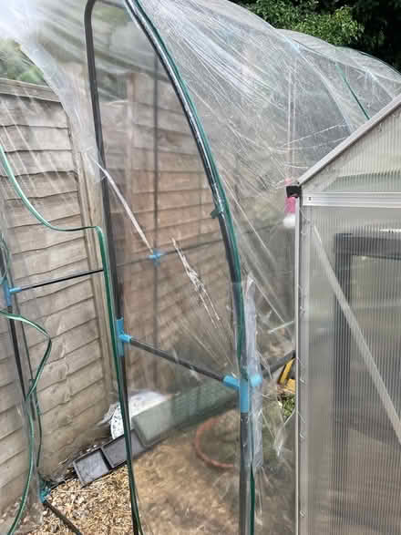 Photo of free Lean too greenhouse (Chesham HP5) #2