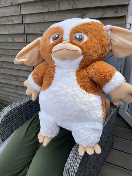 Photo of free Large Gizmo soft toy (BR6 Orpington / Chelsfield) #1
