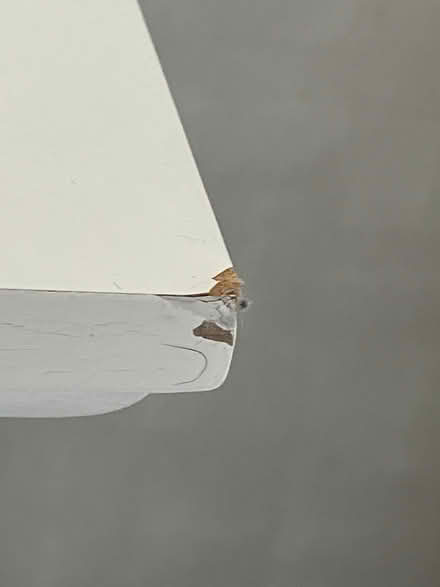 Photo of free 2 x white tallboys (Nash MK17) #4