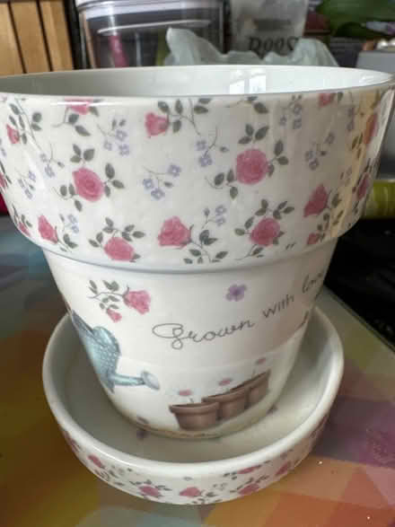 Photo of free Small plant pot with saucer (Ashford TW15) #2