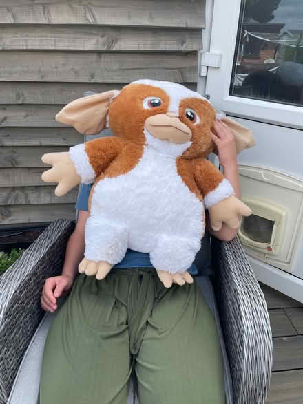Photo of free Large Gizmo soft toy (BR6 Orpington / Chelsfield) #2