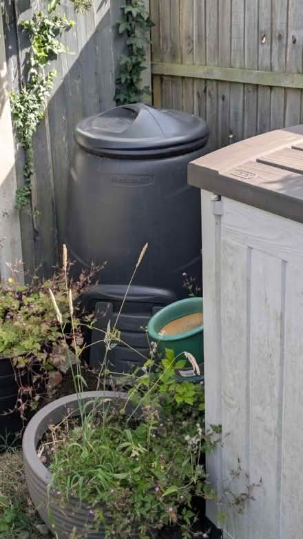 Photo of free Compost Bin with Compost (Leagrave LU4) #1