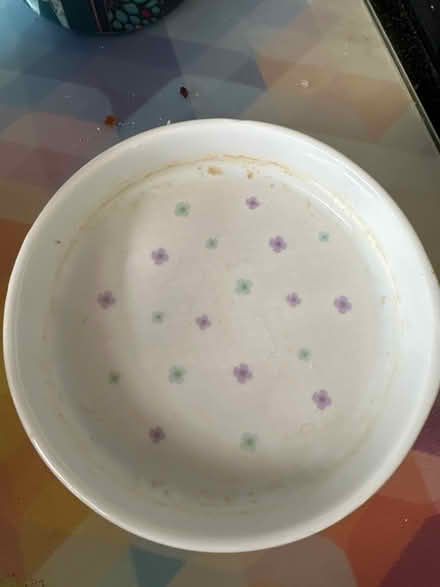 Photo of free Small plant pot with saucer (Ashford TW15) #3