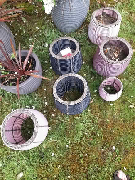 Photo of free Designer flower pot covers and pots (Cuffley EN6) #2