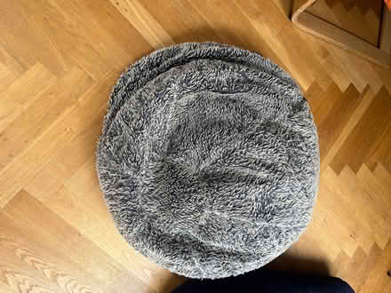 Photo of free 3 CHILD size bean bag chairs (Twickenham TW1) #3