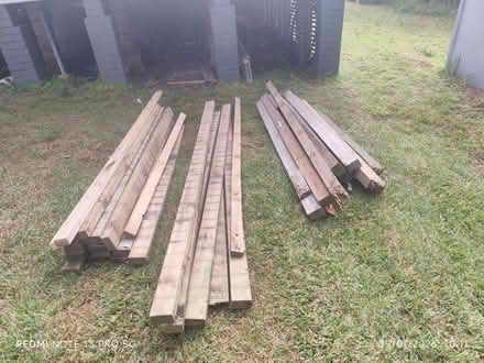 Photo of free Treated pine seconds (Bullaburra nsw) #2