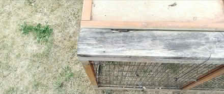 Photo of free Run for small pet. (Catton NR6) #3
