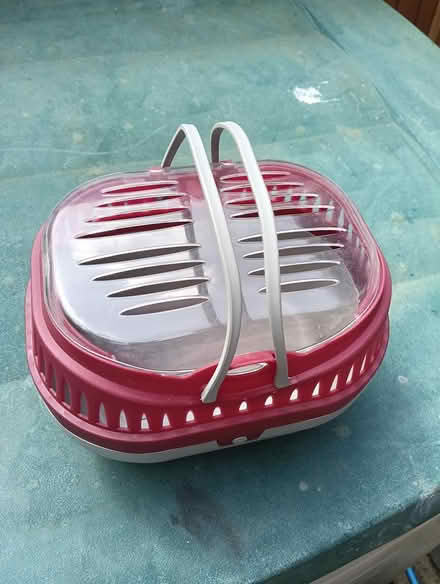 Photo of free Small pet carrier (Swindon SN2) #2