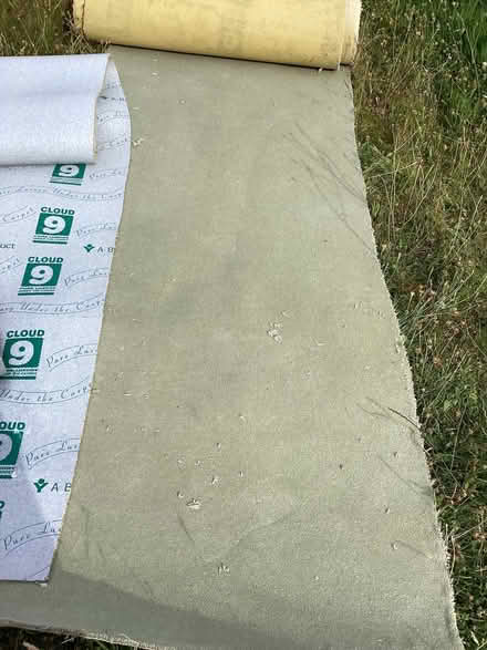 Photo of free Carpet and underlay unused. (Upton CH49) #2