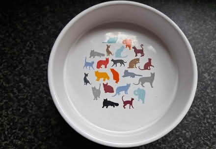 Photo of free Cat bowls (Murrow) #2