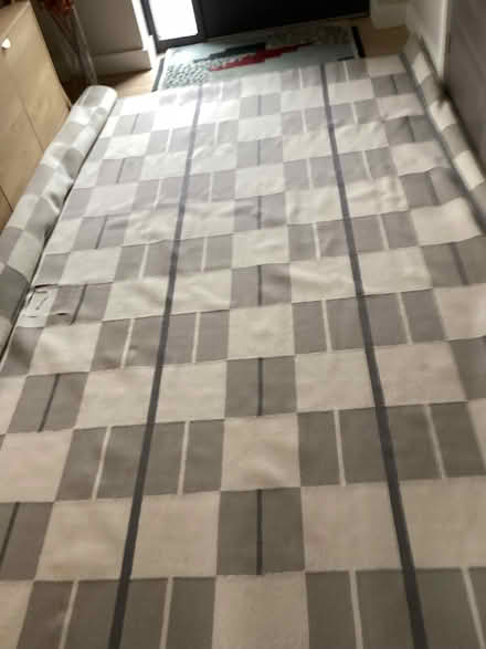 Photo of free Large rug (Stirling FK8) #2