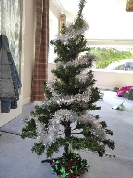 Photo of free Small Christmas tree (Buglawton CW12) #1