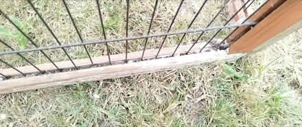 Photo of free Run for small pet. (Catton NR6) #4