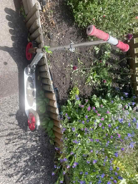 Photo of free Razor scooter. 2 (TA8 burnham on sea) #2