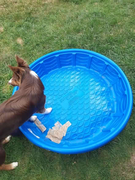 Photo of free Sand pit Needs repair (Caldecott OX14) #1