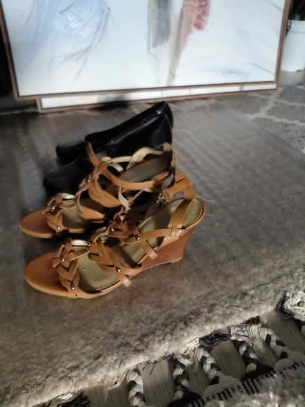 Photo of free Women's shoes (Northern va) #1