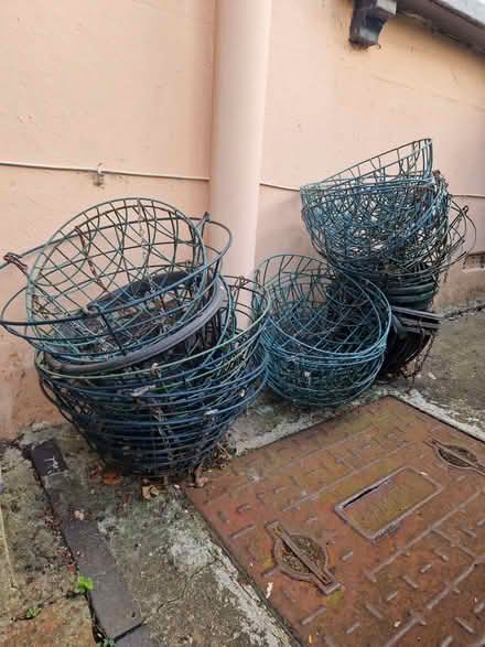 Photo of free Hanging baskets (North Town GU12) #1
