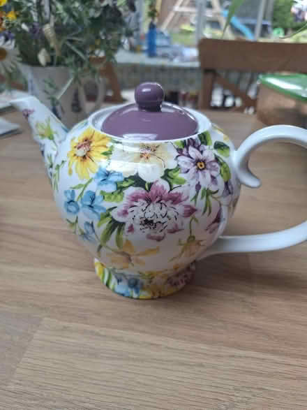 Photo of free Beautiful teapot (University of Bath BA2) #1
